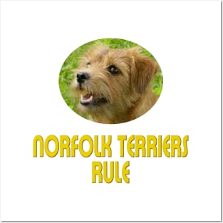 Norfolk Terriers Rule! Posters and Art